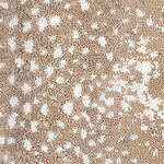 Wildebeest - Habitat