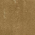 Wetlands - Imperial Point