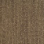 Charcoal - Kennedy Point