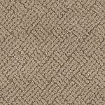 Driftwood - La Jolla