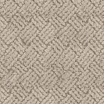 Shell Beige - La Jolla