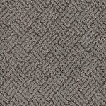 Stone Path - La Jolla