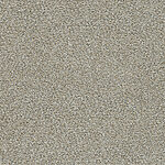 Cresent Garden - Meadow Garden