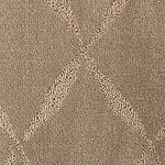 Cocoa Bean - Montage