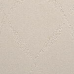 Winter Fox - Montage