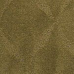 Tropical Palm - Montage