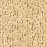 Contrade - Montalcino