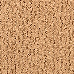 Tuscany - Montalcino