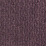 Sangiovese - Montalcino