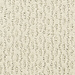 Camigliano - Montalcino