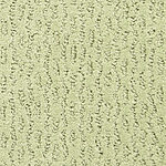 Vineyard - Montalcino