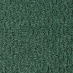 Monte Amiata - Montalcino