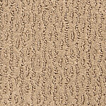 Oak Cask - Montalcino