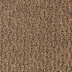 Basilica - Montalcino