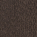 Fortezza - Montalcino