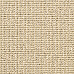 Canvas - Needle Point