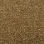 Graham Cracker - Nepali