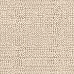 Celebration - Occasion