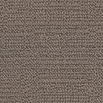 Observance - Occasion