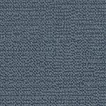 Festivity - Occasion