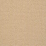 Silken Sun - Petit Point