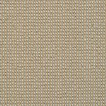 Sea Grass - Petit Point