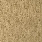 Golden Pound - River Song