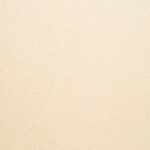 Seagrass - St. Croix