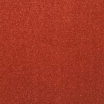 Bird Of Paradise - St. Croix