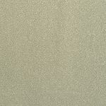 Palm Tree - St. Croix