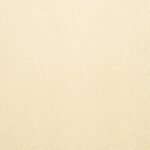 Crepe Suzette - St. Croix