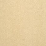 Starfish - St. Croix