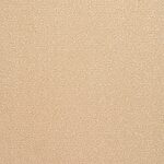 Stingray - St. Croix