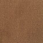 Sea Turtle - St. Croix