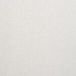 Shark Skin - St. Croix