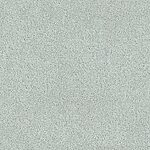 Reflection - Tribute