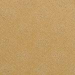 Autumn Harvest - Venice