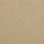 Sierra Fern - Venice