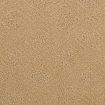 Golden Sand - Venice