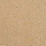 Toasted Almond - Venice