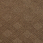 Arctic Seal - Venice