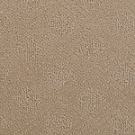 Brooks Wood - Venice