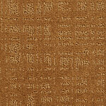 Roman Coin - Veranda