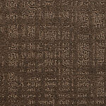 Arctic Seal - Veranda