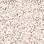 Botanical Garden - Verona