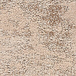 Driftwood Lane - Verona