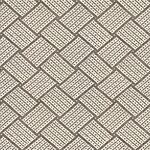 Winter Forest - Vienna