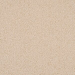 Sand Dollar - Waimea