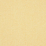 Wild Flower - Waimea