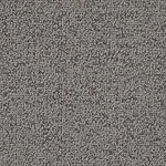 Grizzle Grey - Waimea